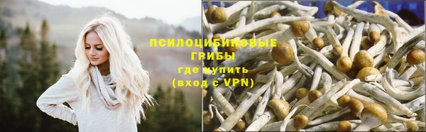 соль курить ск Богородицк