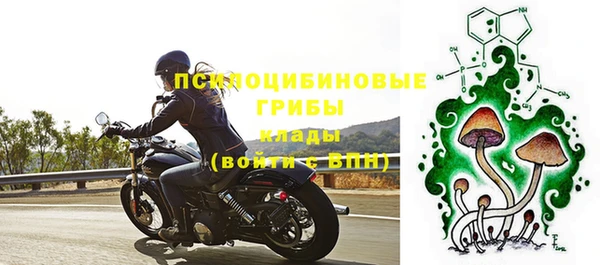 соль курить ск Богородицк
