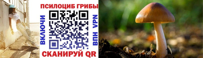 сколько стоит  Грозный  Псилоцибиновые грибы MAGIC MUSHROOMS 