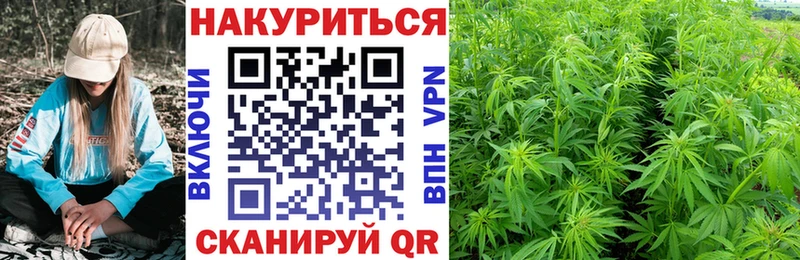 Шишки марихуана White Widow  мега ссылка  Грозный 